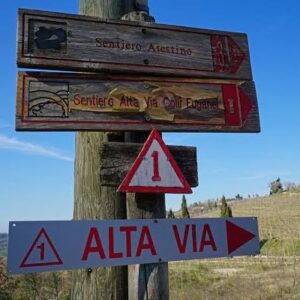 images (5)